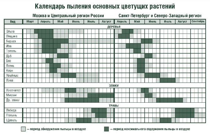Календарь цветения для аллергиков 2024. Период аллергии на цветение. Календарь цветения для аллергиков 2021 в Москве. Календарь аллергика цветения растений-аллергенов. Таблица аллергии на цветение.