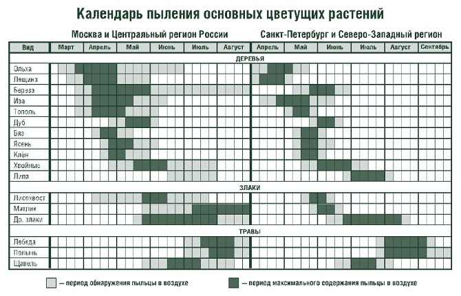 Карта пыления для аллергиков. Период аллергии на цветение. Календарь аллергика цветения растений-аллергенов. Таблица аллергии на цветение. Таблица пыльцы для аллергиков.